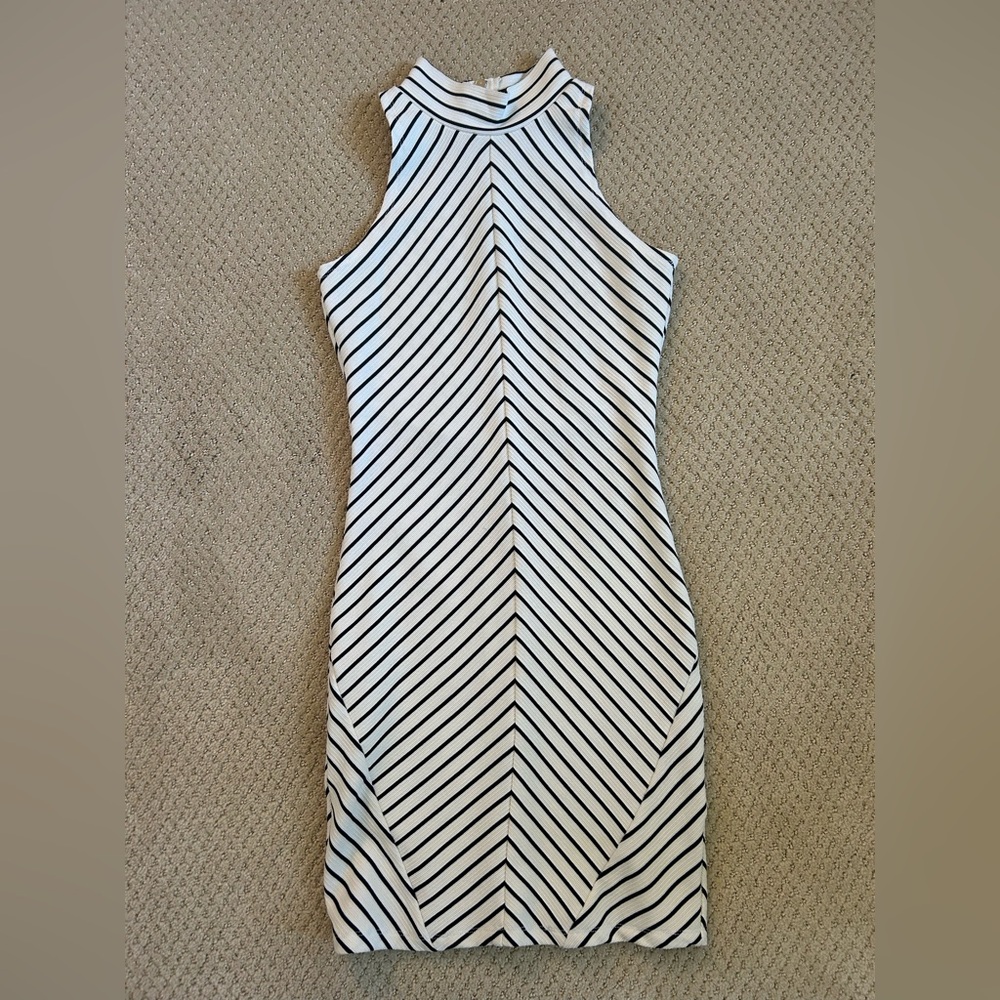 Impeccable Pig - Striped Bodycon Mini Dress